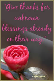 100 flower quotes that will make you bloom. 100 Most Inspirational Thank You Quotes