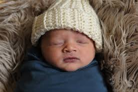 MOOSE 2117 203 9TH St. 34221 941-722-9232 941-723-0617 Sun Mon Tue OPEN MAY  2025 Wed LUNCHI TUES-SUN MOOSE FRI, SAT, Fri Bloody Mary Sat Euchre Daze  1pm PASTA Kentucky Pieree Mexican Night