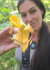 Mushroom Hunters Ontario