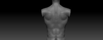 Anatomical, eye/vision & reference charts. Male Torso Back Anatomy Critique Please Polycount