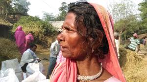 Com Un Veterinari Decidit a Kaziranga està Salvant Els Animals Orfes De  l'Índia, by Sanchari Pal