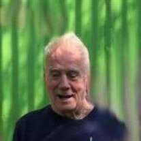 Mr. Bobby Lynn Manning Obituary