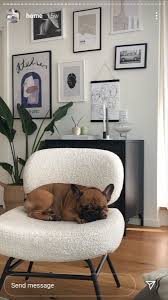 Pin By Nisa Nur On Puppy Love In 2020 Room Decor Decor Home