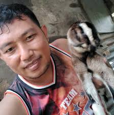 Great win for Curtis.. not sure that farag backhand is doing Soliman much  good.. looked much better Before as it was…can any of you squash experts  explain what the advantages are supposed