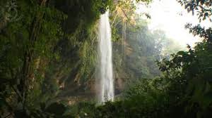 Check spelling or type a new query. Waterfall Scenery In Tropical Rainforest With The Sound Of Falling Water And Singing Jungle Birds Youtube