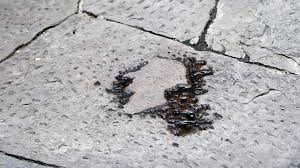 Casa Di Dante Firenze Storia Museo Orario Visite E Prezzi