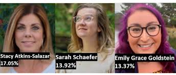 Newcomers take the lead in race for 3 Arcata City Council seats