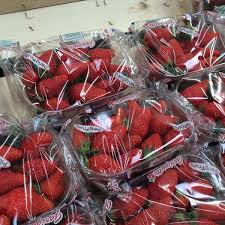 Tripadvisor has 160,520 reviews of avignon hotels, attractions, and restaurants making it your best avignon resource. Carrefour Courtine Avignon Courtine 1 Tip From 126 Visitors