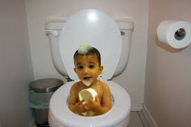 Drain flies seek out decomposing organic matter to deposit their eggs in the pipes. Songs From The Shower The Toilet Seat Debate Is Over Me Vs Gavin