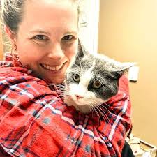 Which story is true about the PMQ cat?