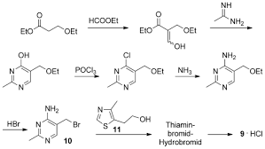 Wichtigste energiequelle, insbesondere für das gehirn. Einhundert Jahre Vitamine Eine Naturwissenschaftliche Erfolgsgeschichte Eggersdorfer 2012 Angewandte Chemie Wiley Online Library