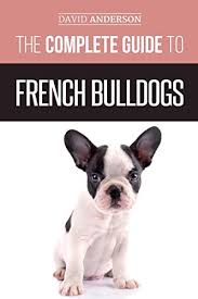 First set of vaccine and dewormed serious inquiries. The Complete Guide To French Bulldogs Everything You Need To Know To Bring Home Your First French Bulldog Puppy Buy Online In Malta At Malta Desertcart Com Productid 91499961