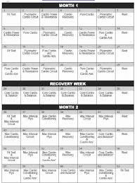 Insanity Workout Wall Chart Pdf Calendar Image 2019