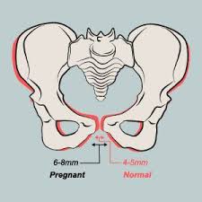Pin On Nurse Midwifery