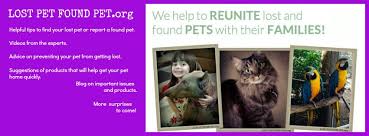 I lost my cat the morning after 9/11. Lost Pet Found Pet Home Facebook