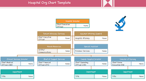 Hospital Org Chart Examples Org Charting Hospital
