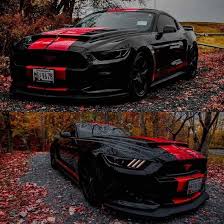 Ildiko Danko (danko020369)