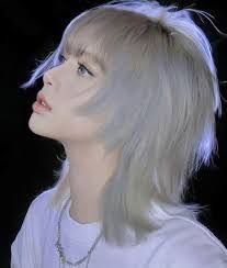 Lisa Mullet's Instagram, Twitter & Facebook