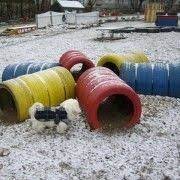 welpen hundeschule ogv perchtoldsdorf dog playground dog backyard dog area