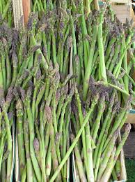 Image result for Asparagus officinalis