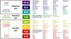 Alkaline Acid Food Chart Ph Level Www Bedowntowndaytona Com
