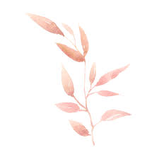 Leaf Pink Sticker By Ðð¥ð§ðð¡ Ð¬ððð©ð Discover wallpaper that will fit right in with your minimalistic, modern aesthetic. leaf pink sticker by ðð¥ð§ðð¡ ð¬ððð©ð