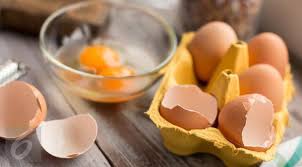 We did not find results for: Kuning Telur Ayam Berwarna Oranye Pertanda Buruk Health Liputan6 Com