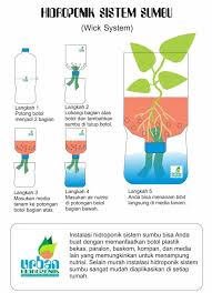 Maybe you would like to learn more about one of these? Teknik Hidroponik Nutrien Dalam