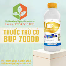 Bup 700OD