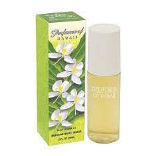 You Will Never Believe These Bizarre Truths Behind Ginger Flower Fragrance Ginger Flower Fragrance Flower Fragrance Ginger Flower Ginger Plant Flower