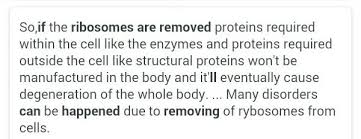 There would also be no lysosomes, which are responsible for breaking down waste products to keep the cell from. What Happens 1 If Ribosomes Are Removed 2 Golgi Apparatus Is Removed 3 Plasma Membrane From The Cell Brainly In