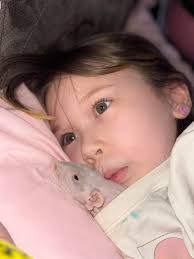 Basset hound owner shares adorable photos of their babies