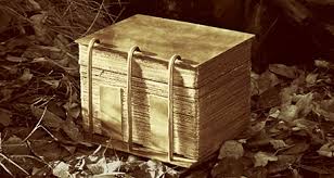 This doesn't include any blank pages, paintings, or anything. The Book Of Mormon From Plates To Press