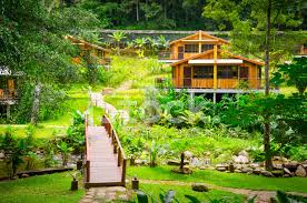 Garden House In Chiangmai Thailand Stock Photo Royalty Free Freeimages