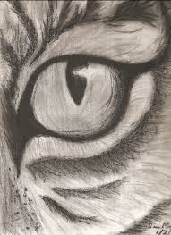 Fine Art Limited Edition Print Of A Pencil Drawing Of An Eye Crying By Kevin Anderson D Pencil Drawings Of Animals Easy Charcoal Drawings Animal Sketches Easy