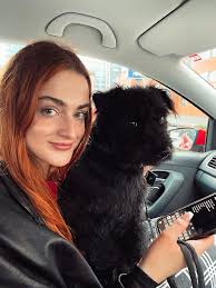 Community project near Springfield Vermont