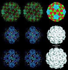 Résultat de recherche d'images pour "virus capsid electron rendering"