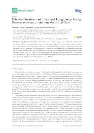 Image result for Dicoma galpinii