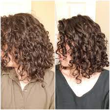 My hair is normal porosity, but seems to have characteristics of high since i've stopped coloring it. Fine High Porosity Curly Hair Curlyhair