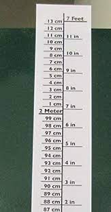 Amazon.com: Best Growth Chart Decal 0 to 7 feet DIY Peel and Stick Black &  White Backdrop Height Ruler on Wall, Door, Anywhere for Infants Kids  Children and Young Adults to Measure