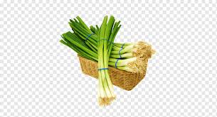 I plant them myself as they are one of the easiest to grow our own. Onion Leaves Allium Fistulosum Garlic Chives Shallot Vegetable An Onion Vegetables Leaf Vegetable Food Grass Png Pngwing