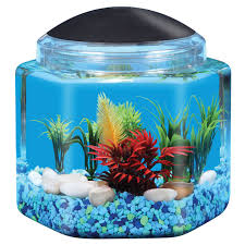 Recommended 5 gallons tank size per pair. Api Betta Hex Bowl Aquarium Kits