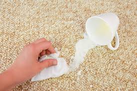 how to get milk out of carpet