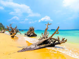Things to do in Andaman & Nicobar