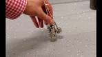 De zon draait (ook) om de aarde! - YouTube