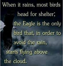 When the storm hits, it sets its wings so that we can soar above the storm. Quotes About Soaring 99 Quotes