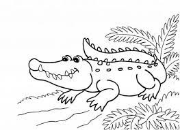 Check out our nice collection of the reptiles coloring pictures worksheets.new reptiles coloring pages added all the time. Get This Printable Alligator Coloring Pages For Kids 5prtr Coloring Home