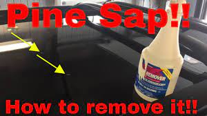 Jun 18, 2021 · answer: Tips On How To Remove Pine Sap From Your Car Or Truck Youtube