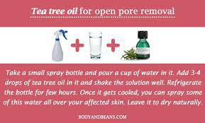 16 Home Remedies To Remove Open Pores On Face And Skin Permanently In 2021 Open Pores On Face Skin Cleanser Products Skin Care Tips