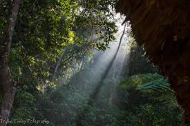 Even In The Rain The Pan Gardens Are Beautiful Picture Of Ecolodge Panhou Village Ha Giang Tripadvisor